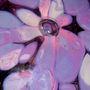 purple rose mix